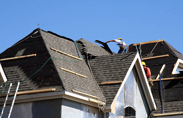 Best Roof Gutter Cleaning  in Jonesville, LA